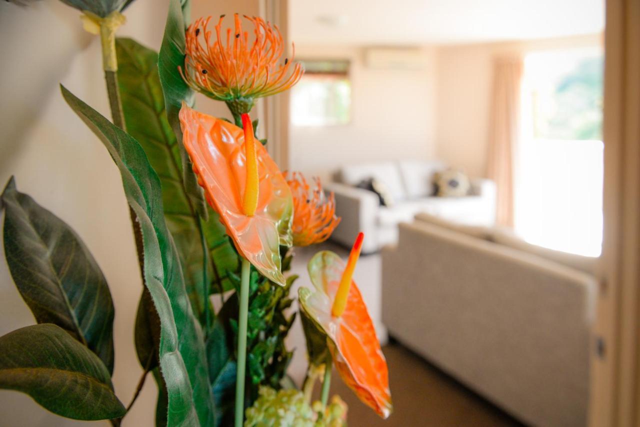 Absolute Bliss Apartments Paihia Kültér fotó
